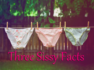 Three Sissy Facts by Harper 800 601 7259