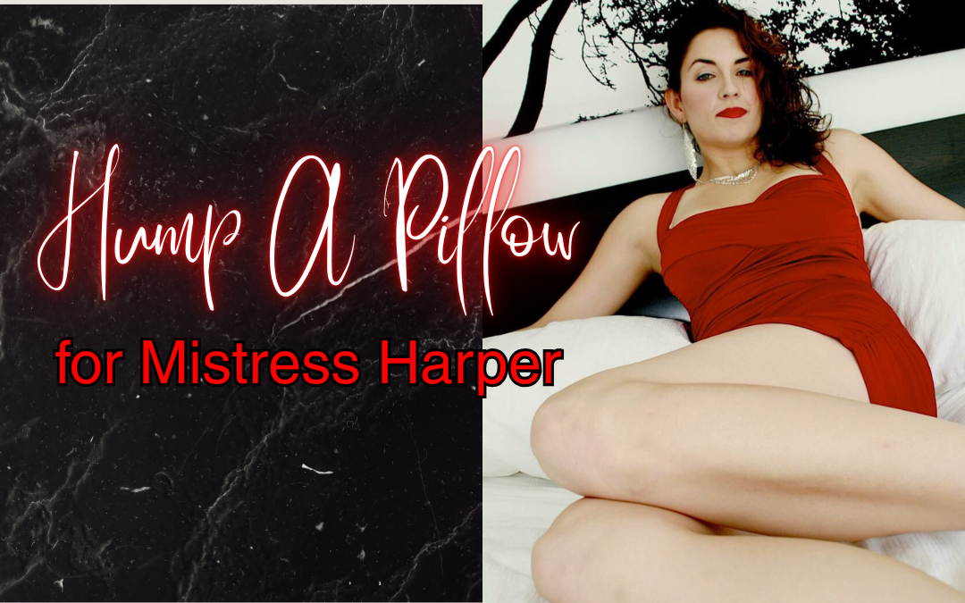 Hump A Pillow For Harper